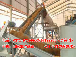 棕櫚刮板輸送機