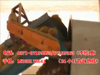 棕櫚纖維烘干現場